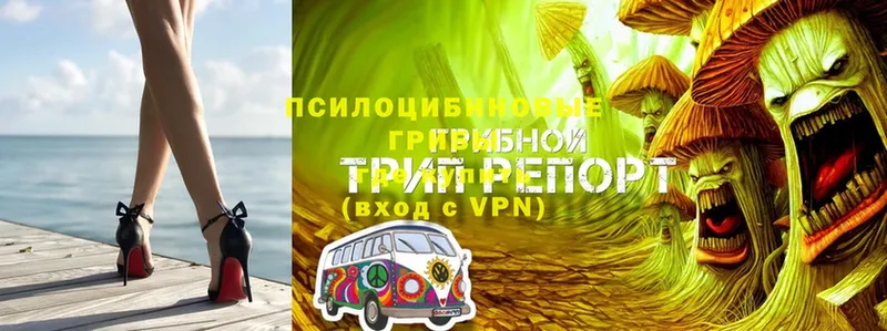 Галлюциногенные грибы MAGIC MUSHROOMS  Туймазы 